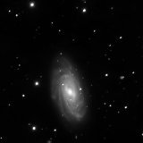 NGC3953